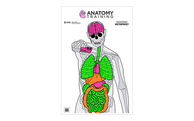 Action Target Anatomy Training Target Multi Color 23x35 100pk GS-ANATOMY-100