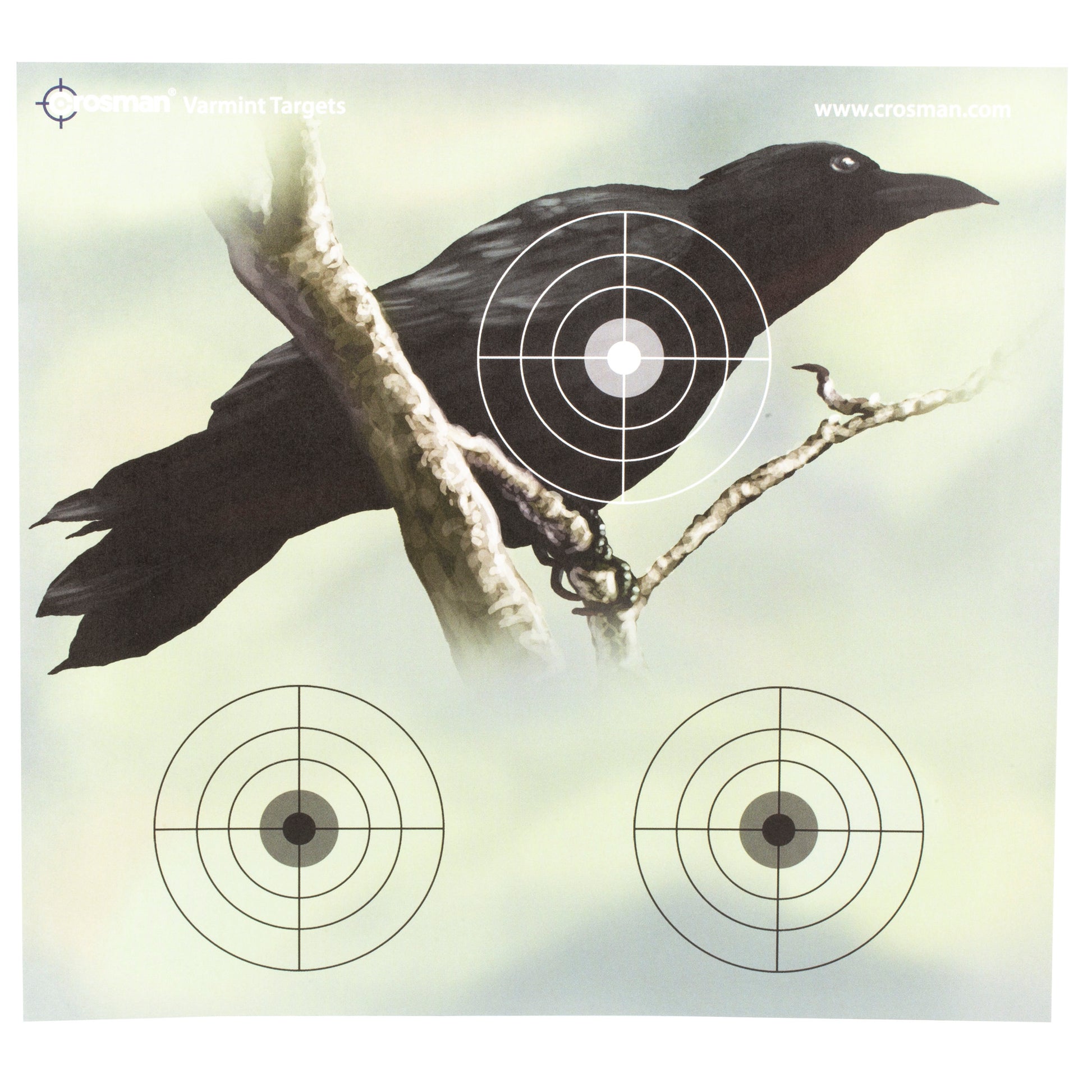 Crosman Varmit Full Color Paper Target 9.75x9 PDQ 20 Pack 0496PDQ - California Shooting Supplies